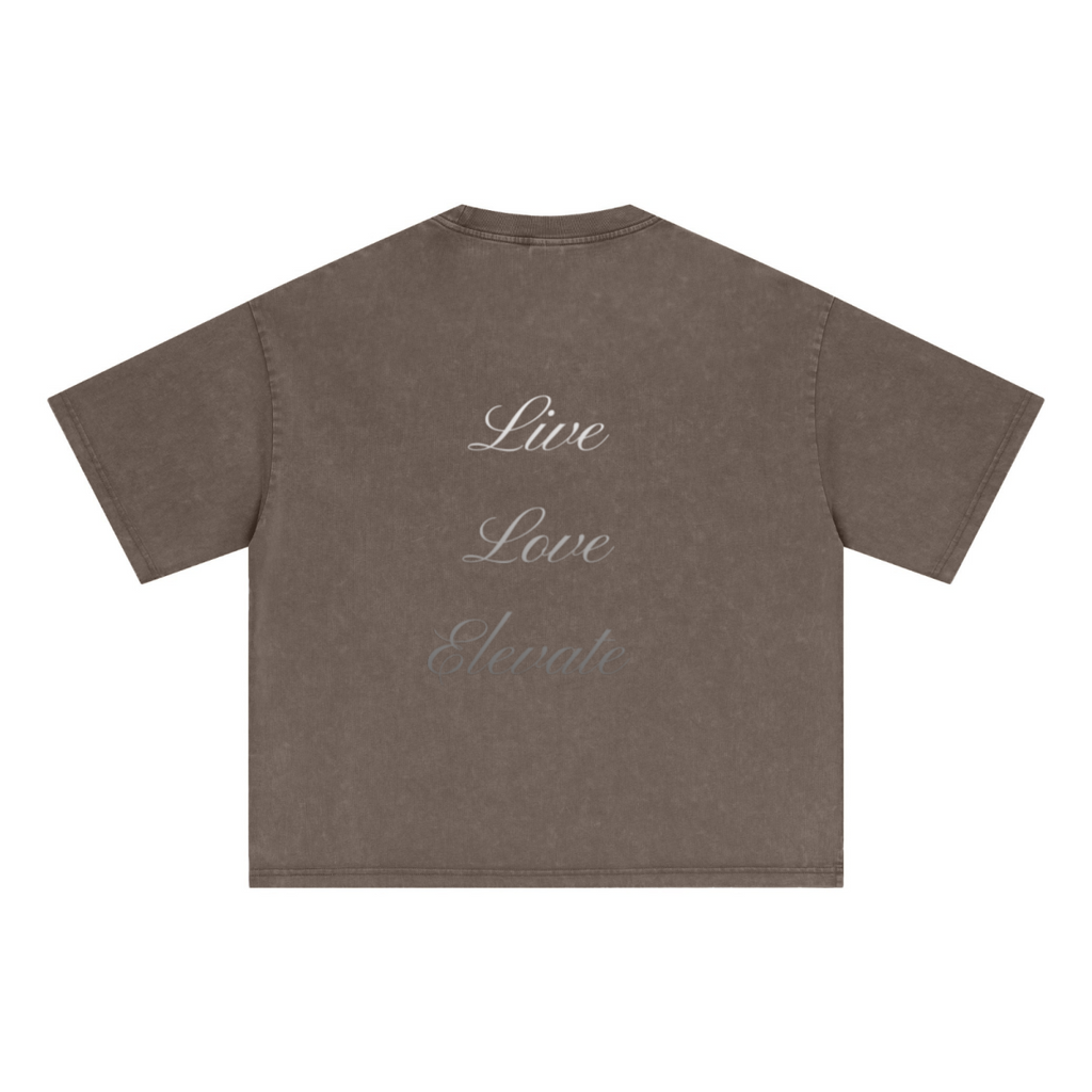 285GSM Unisex Boxy-Fit Distressed Fried-Color Snow-Wash Loose T-shirt Vintage Brown